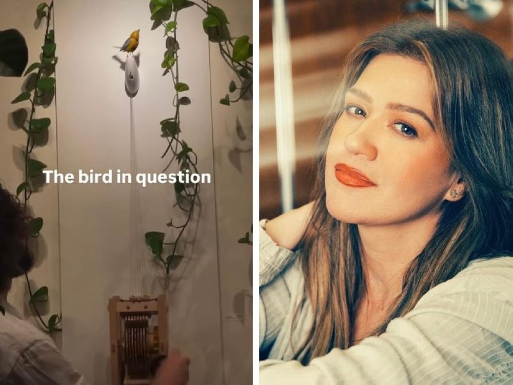Art of Play Says Kelly Clarkson's Singing Bird Molly Is Not for Sale Amid Online Dispute.